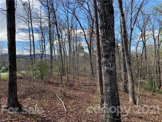 0 Peddlers Way Rutherfordton, NC 28139 - Photo 7 of 21 a view of a forest with a tree