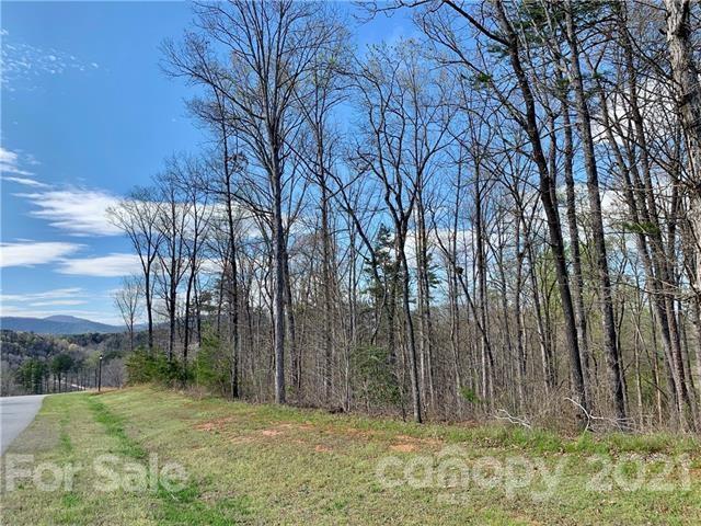 0 Peddlers Way Rutherfordton, NC 28139 - Photo 8 of 21 a view of backyard with green space