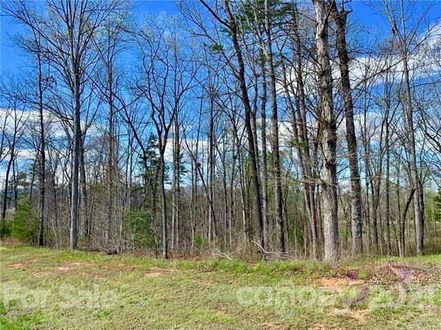 0 Peddlers Way Rutherfordton, NC 28139 - Photo 10 of 21 a house with trees in the background