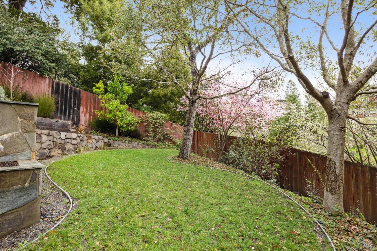 23 Janes Street Mill Valley, CA 94941 - Photo 28 of 32 a backyard of a house with lots of green space