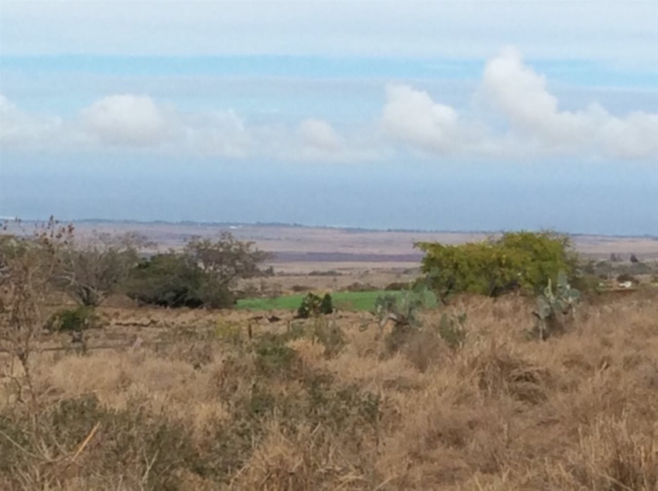 Calasa Road Kula, HI 96790 - Photo 2 of 3 a view of a field of grass and trees