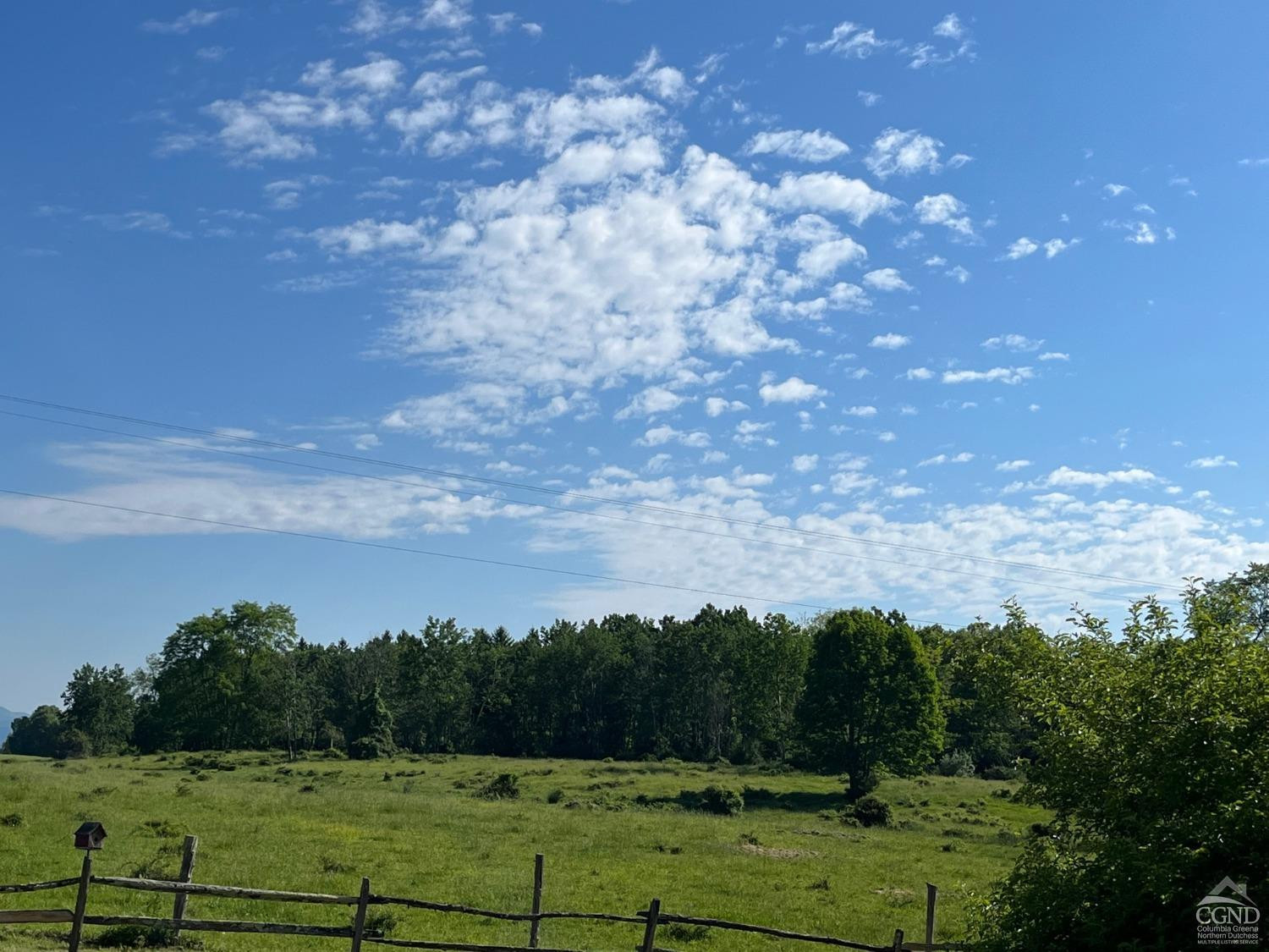 39 Haight Road Amenia, NY 12501 - Photo 9 of 11 a view of a big yard