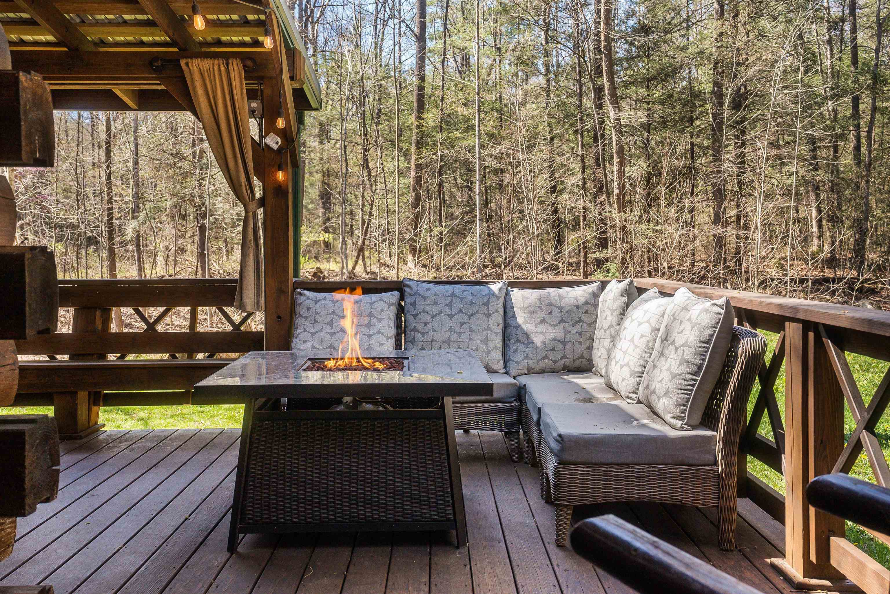 9154 Briery Branch Road Dayton, VA 22821 - Photo 45 of 73