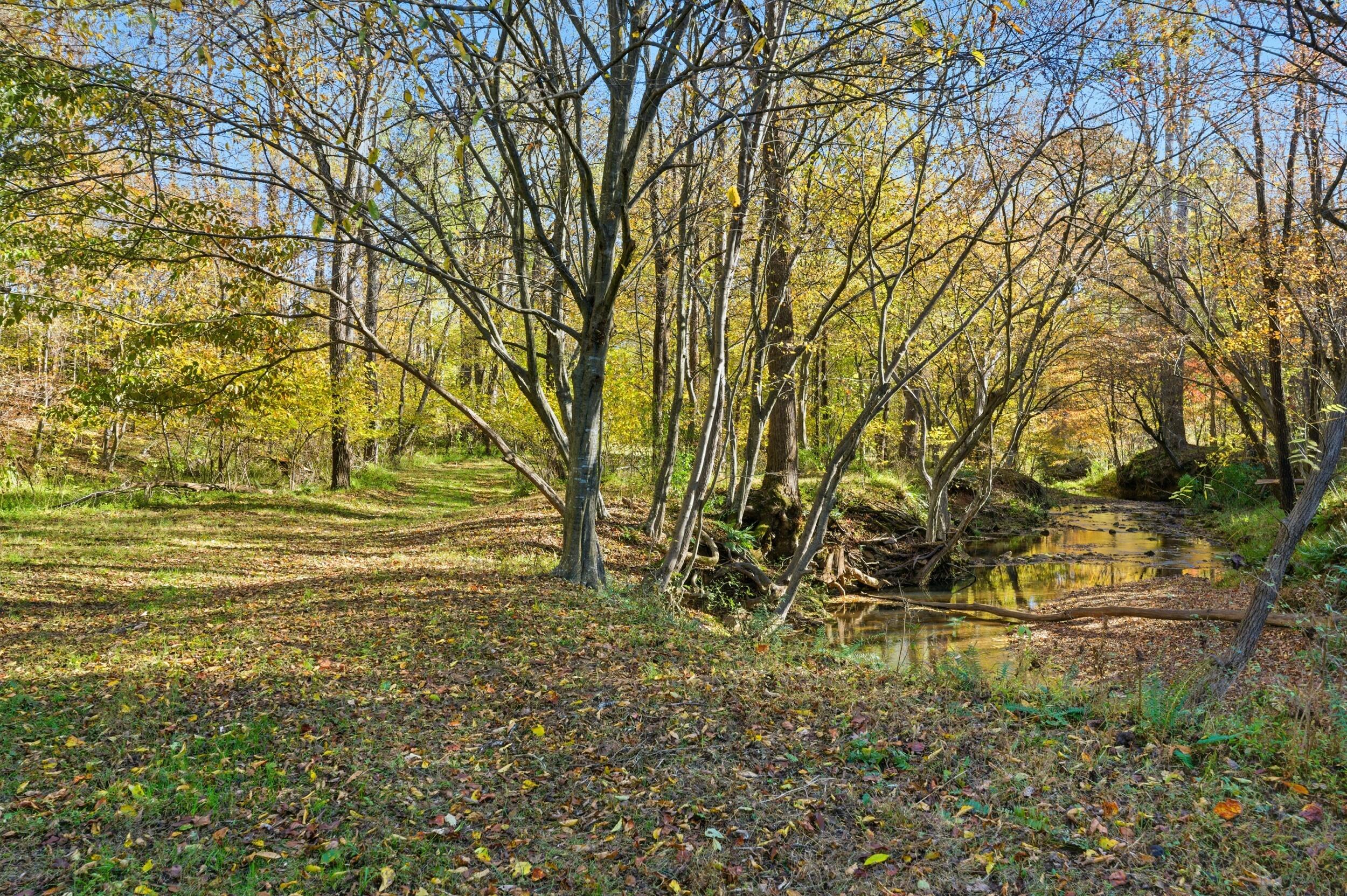 2631 Meadors Spur Road Moneta, VA 24121 - Photo 65 of 87 a view of a yard with an trees