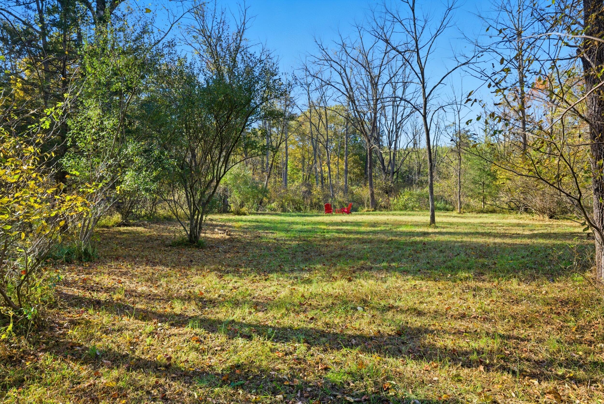 2631 Meadors Spur Road Moneta, VA 24121 - Photo 66 of 87 a view of a yard with green space