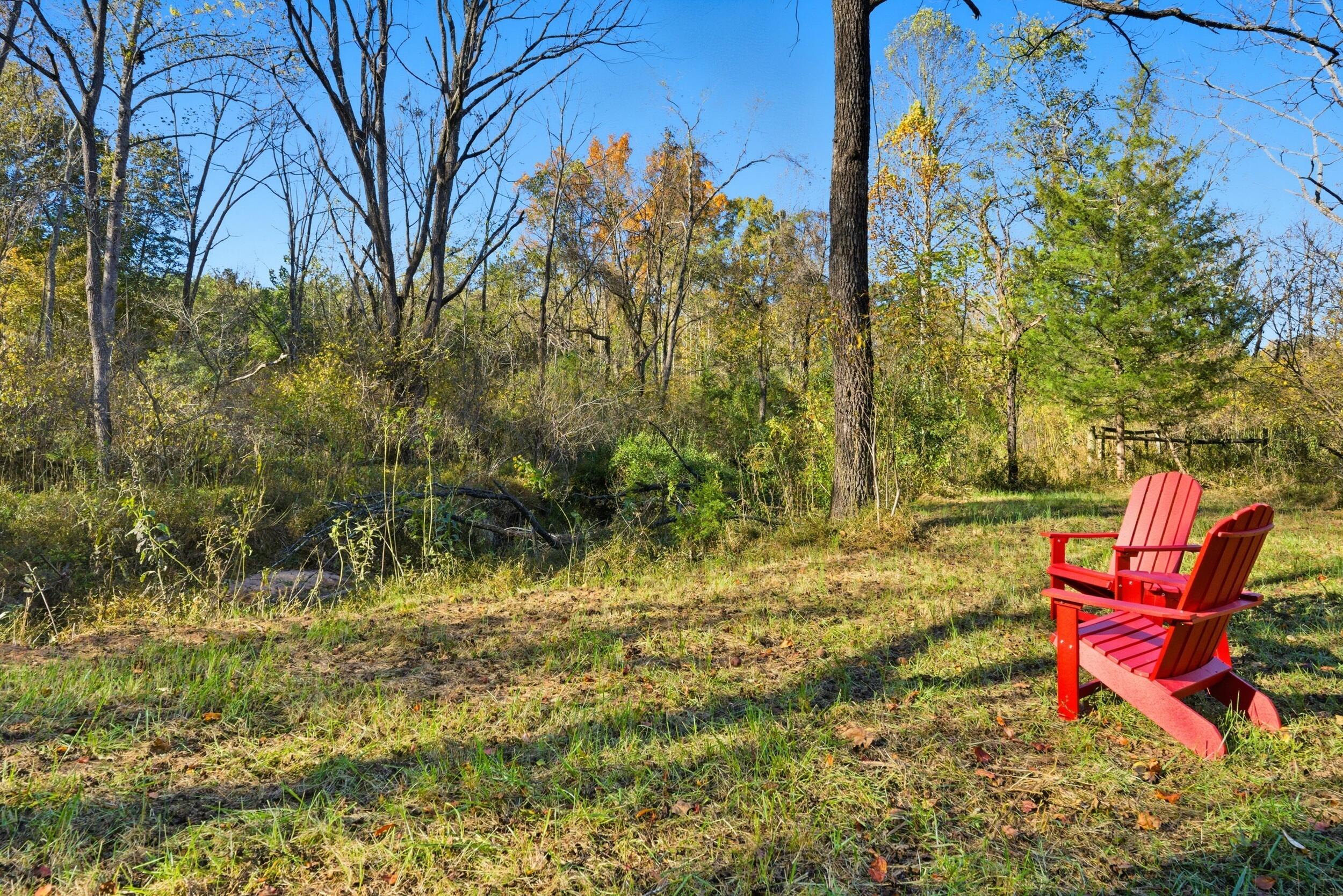 2631 Meadors Spur Road Moneta, VA 24121 - Photo 67 of 87 a backyard of a house with yard and outdoor seating