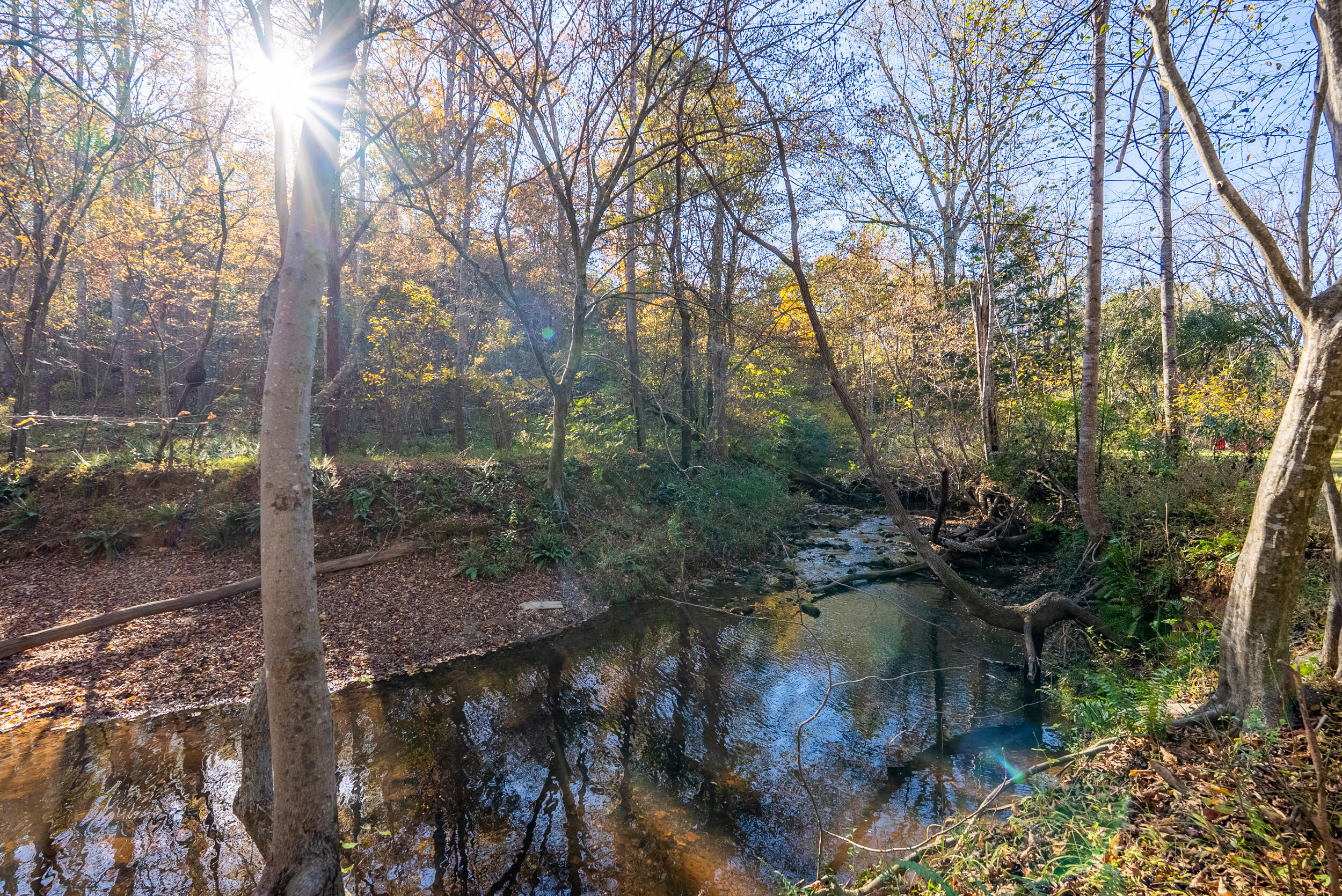 2631 Meadors Spur Road Moneta, VA 24121 - Photo 68 of 87 a view of a forest filled with trees