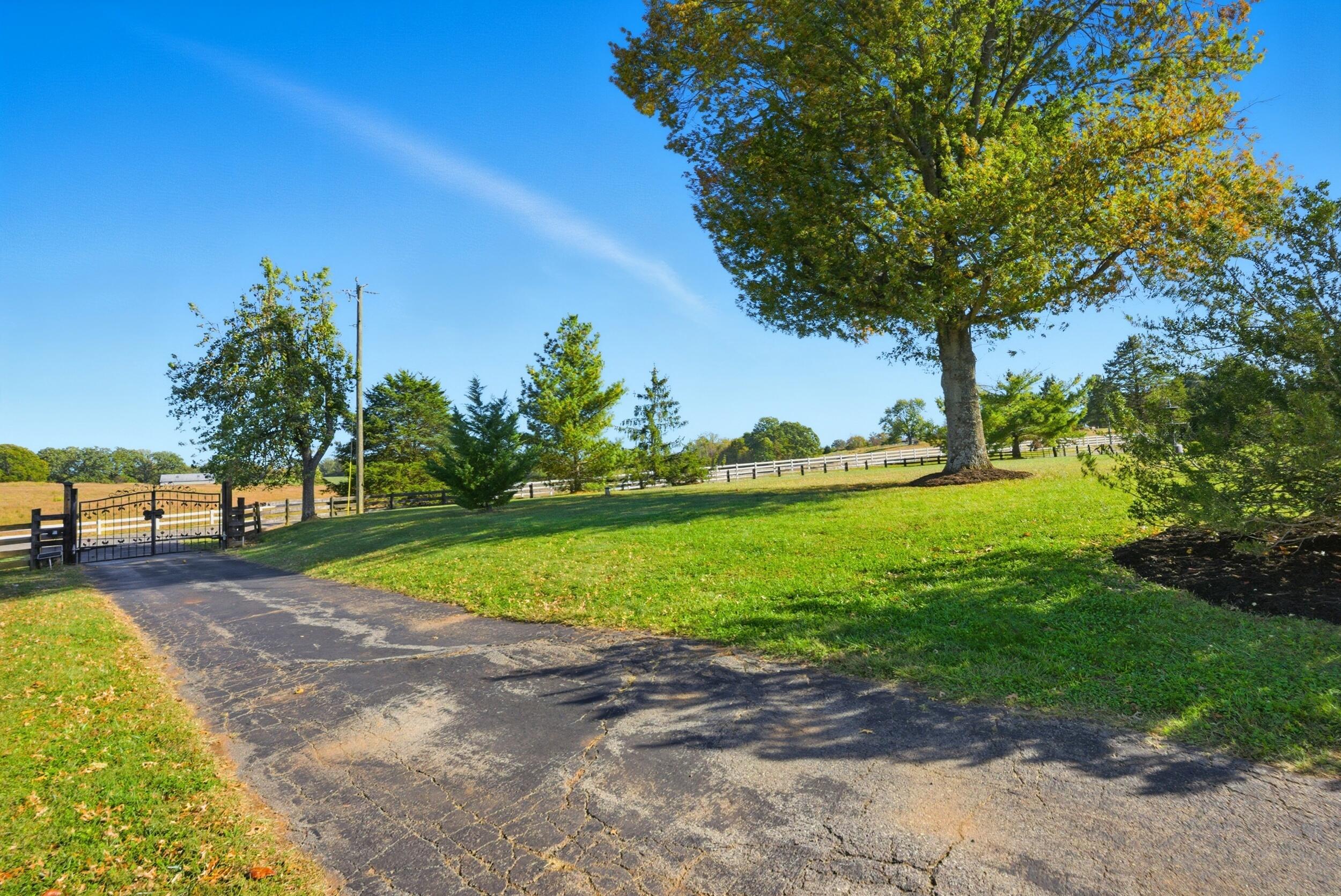 2631 Meadors Spur Road Moneta, VA 24121 - Photo 82 of 87 a view of a park