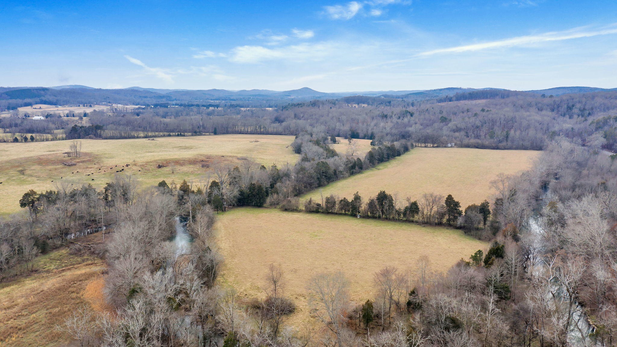 702 Highway 68 Decatur, TN 37322 - Photo 6 of 9