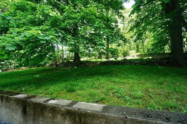 a view of a lake with a yard