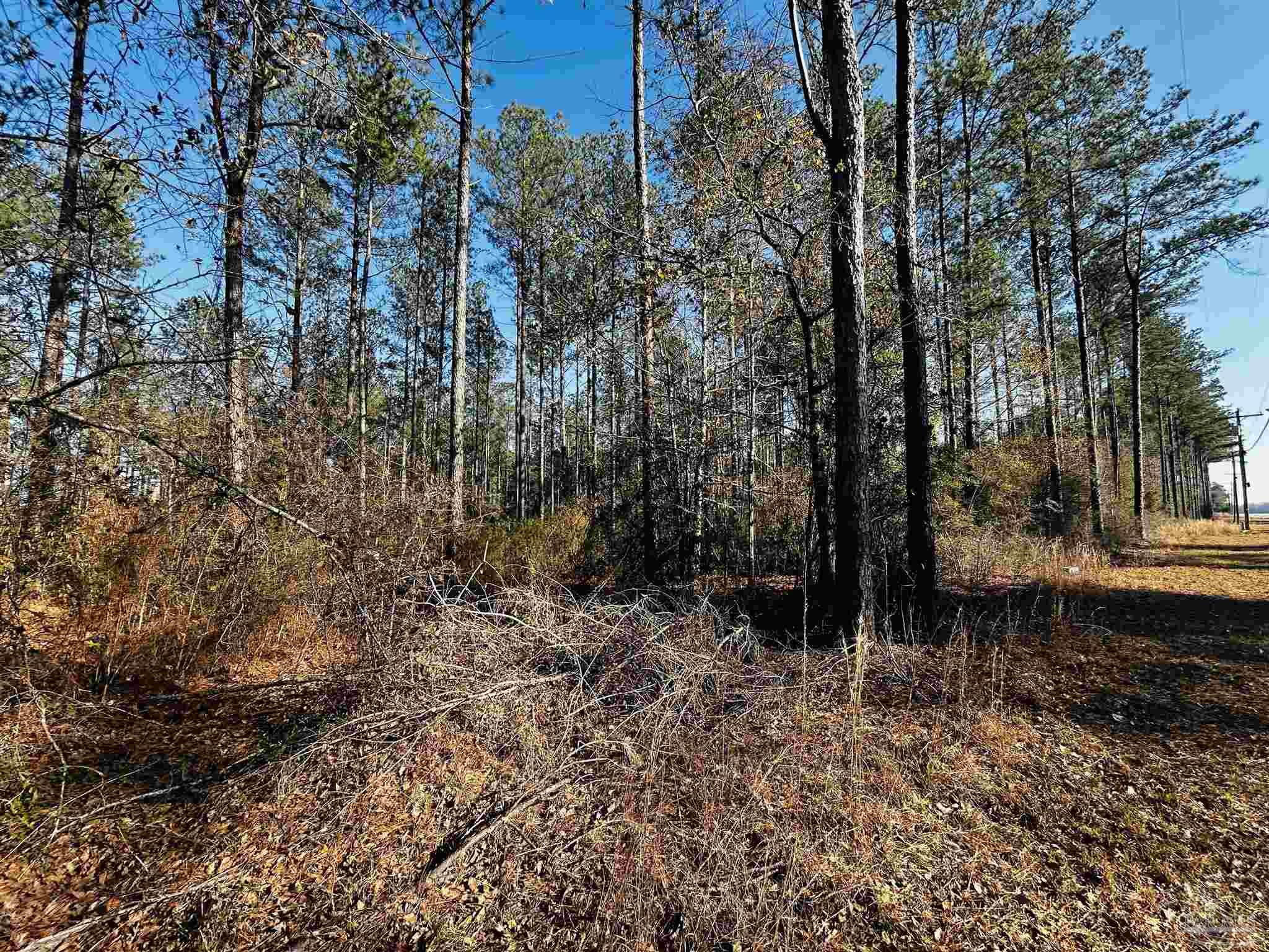Lot 407 Country Mill Road Jay, FL 32565 - Photo 2 of 10 a backyard of a house with lots of green space