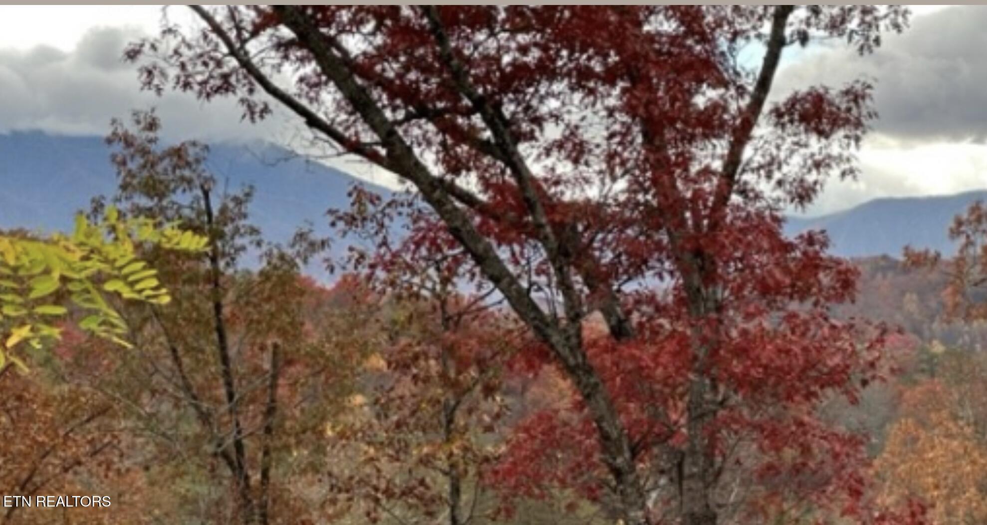 2440 Breezy Road Sevierville, TN 37876 - Photo 40 of 45 IMG-2572