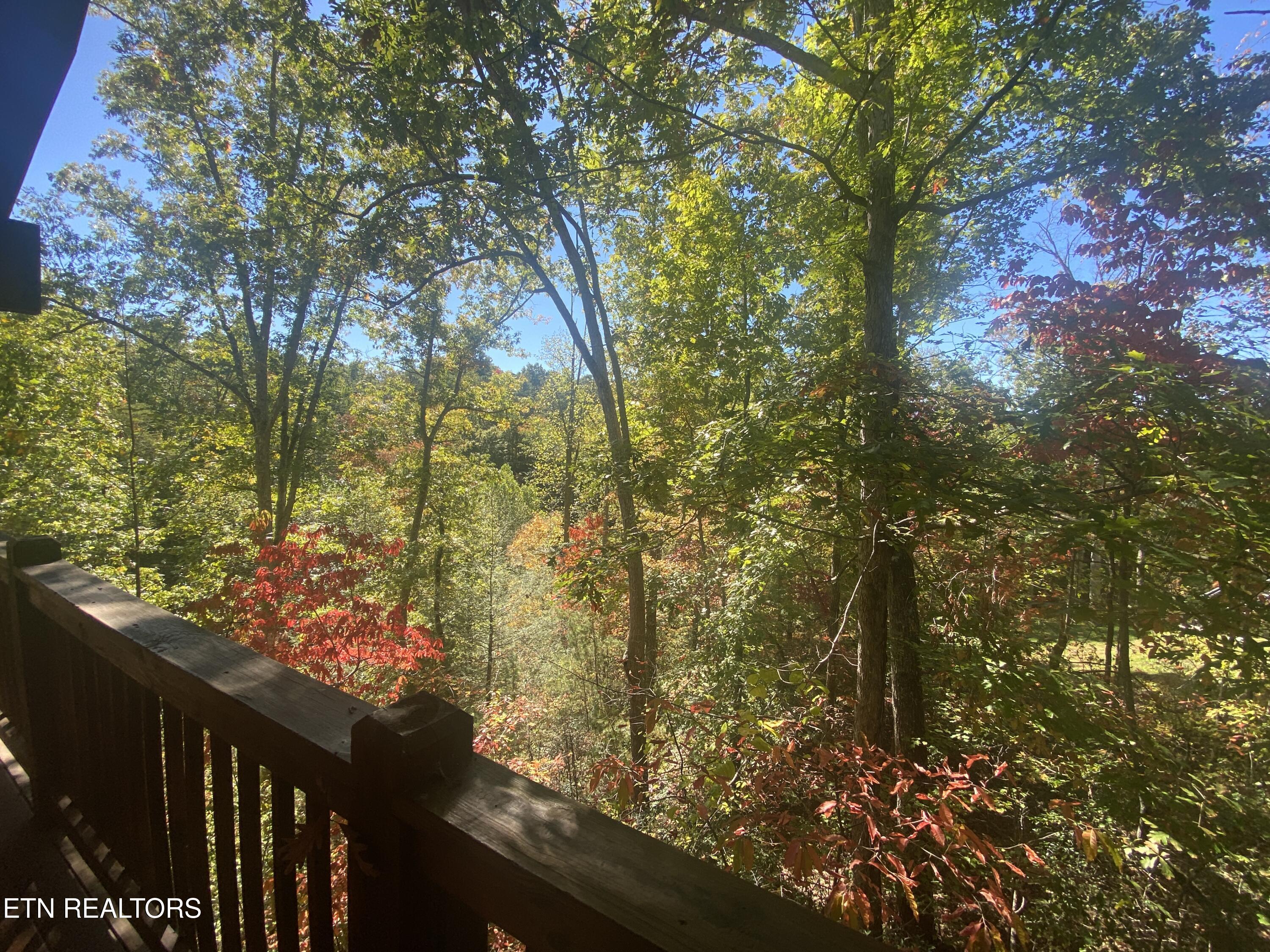 2440 Breezy Road Sevierville, TN 37876 - Photo 4 of 45 IMG_9825