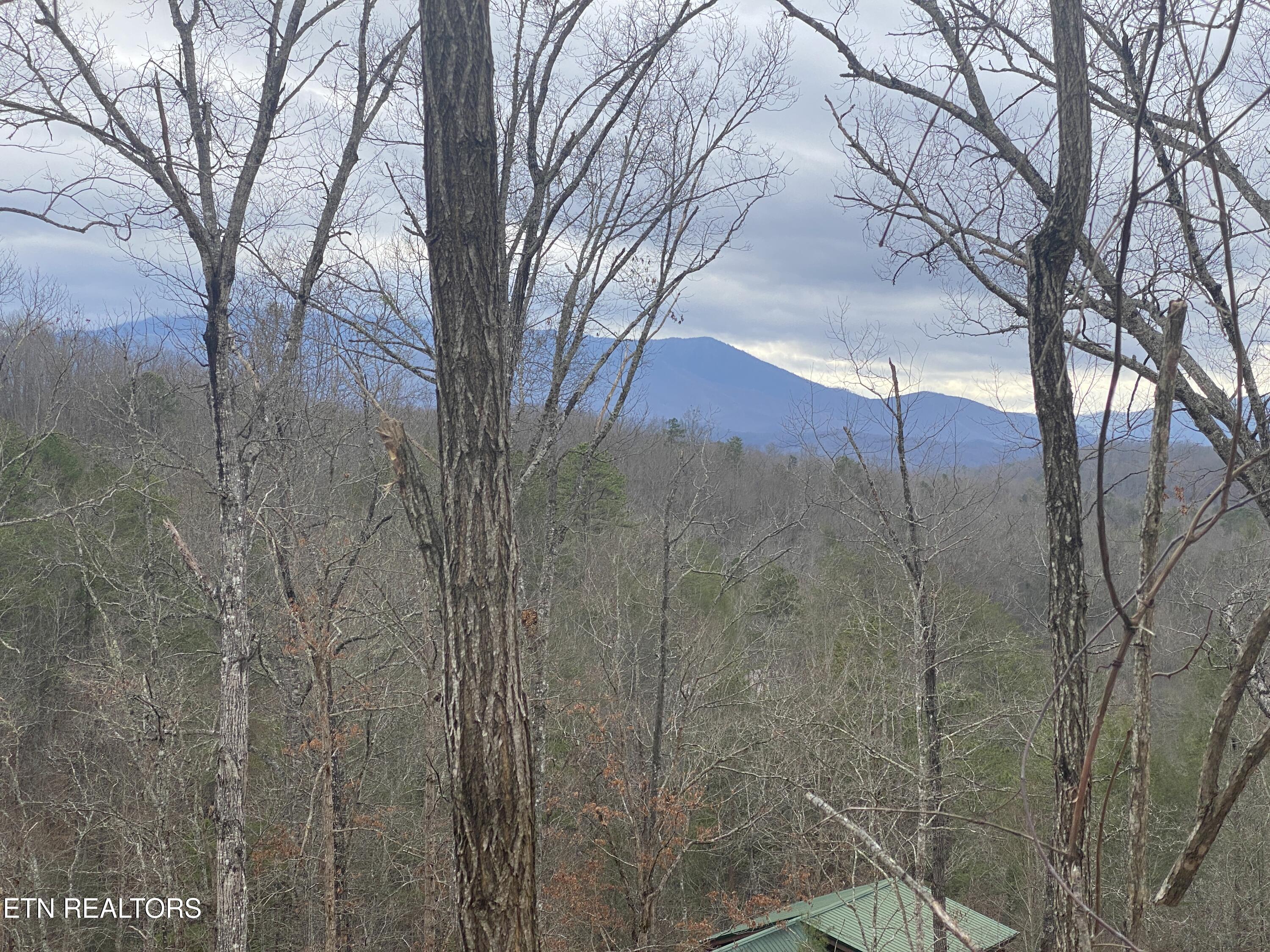 2440 Breezy Road Sevierville, TN 37876 - Photo 5 of 45 IMG-1073