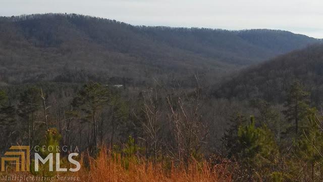 1 Palm Tree Road, Unit 173/6 Trion, GA 30753 - Photo 1 of 1 Gallery Image 1