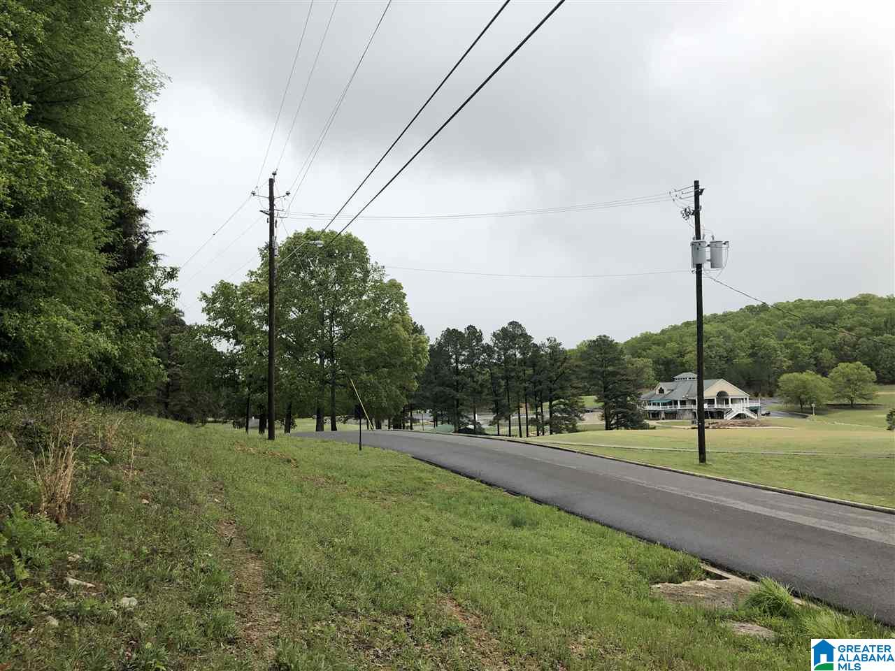 0 Heritage Road, Unit 14 Oneonta, AL 35121 - Photo 4 of 6