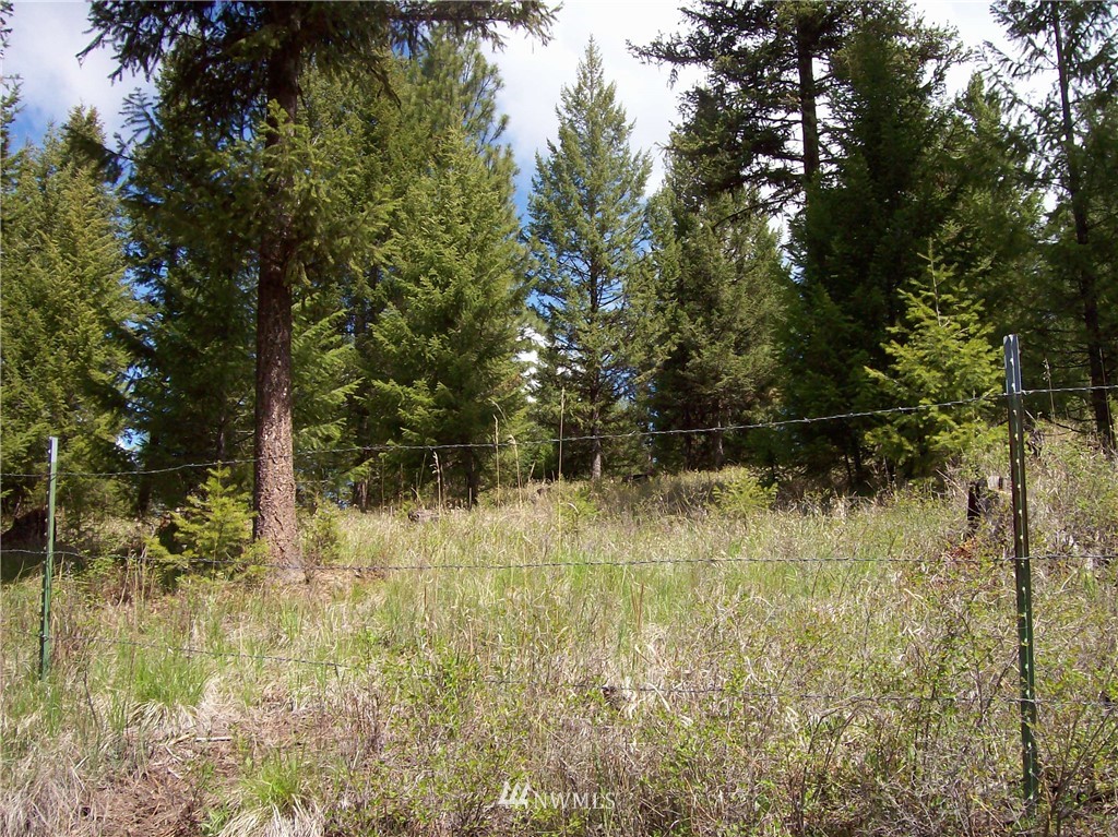 14 California Mine Road Republic, WA 99166 - Photo 3 of 26 a view of backyard with green space