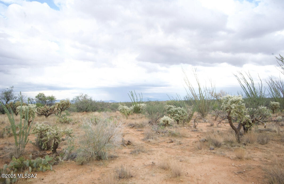 14536 West Diamond Bell Ranch Road, Unit 406 Tucson, AZ 85736 - Photo 13 of 16