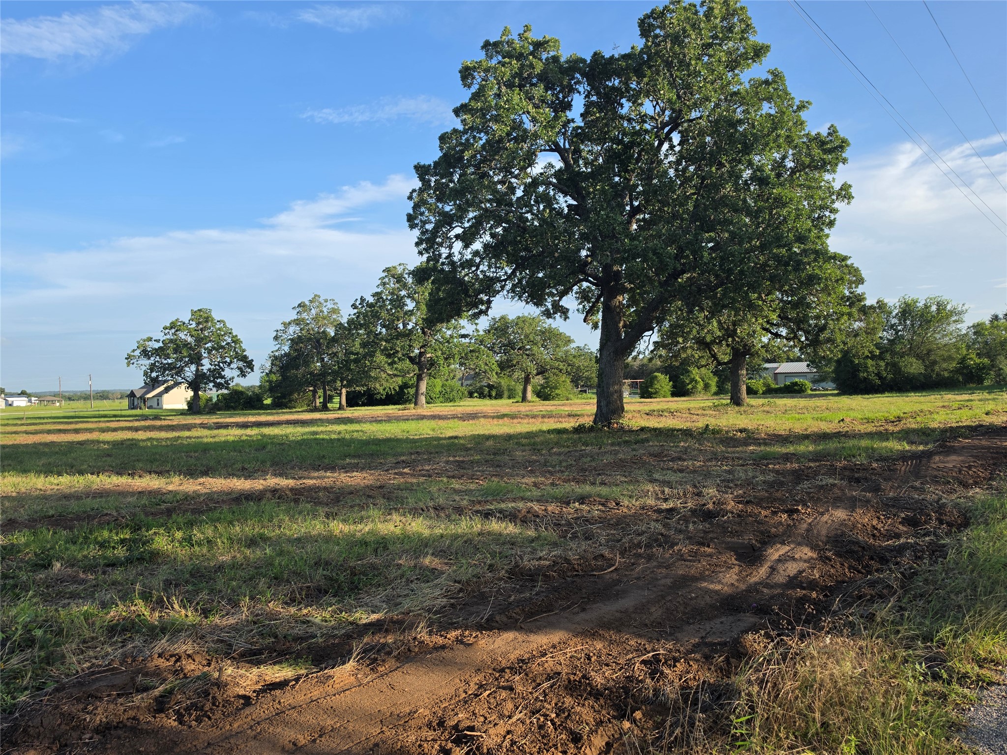 0 Brown Road McDade, TX 78650 - Photo 2 of 5 A spacious lot offers abundant possibilities for building, bordered by mature trees and clear skies.
