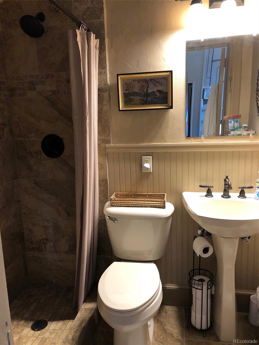 207.5 F Street, Unit 3 Salida, CO 81201 - Photo 11 of 14 a bathroom with a sink a toilet and shower