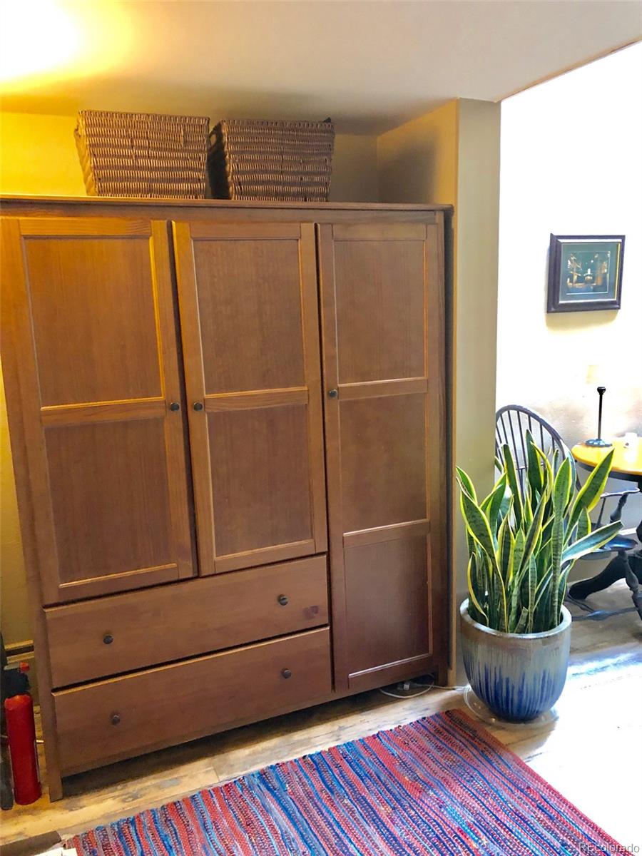 207.5 F Street, Unit 3 Salida, CO 81201 - Photo 9 of 14 a potted plant with wooden floor