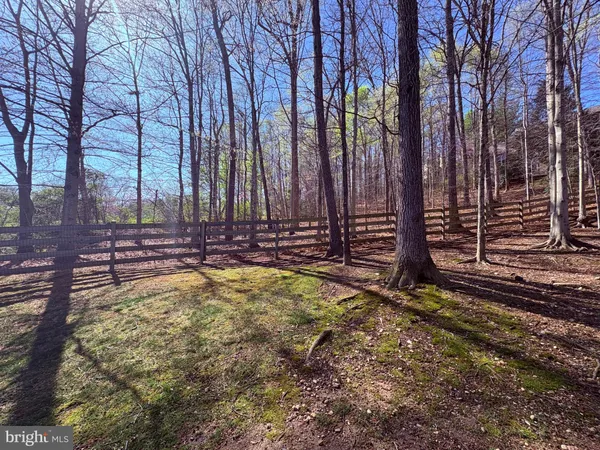 a view of a backyard with trees