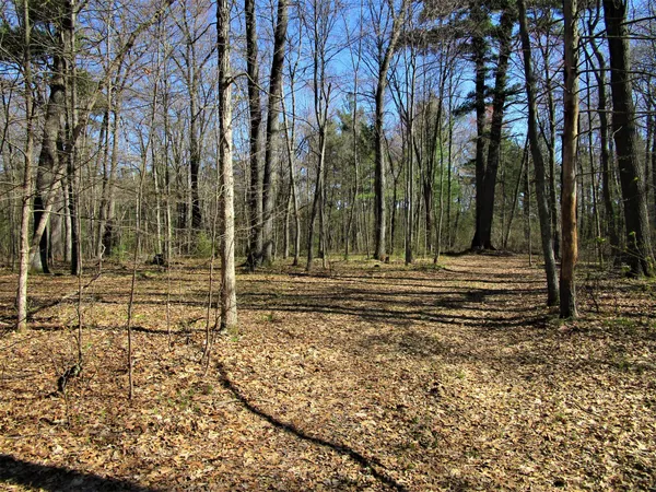 $59,000 | Xx 120th Street, Frederic, WI 54837