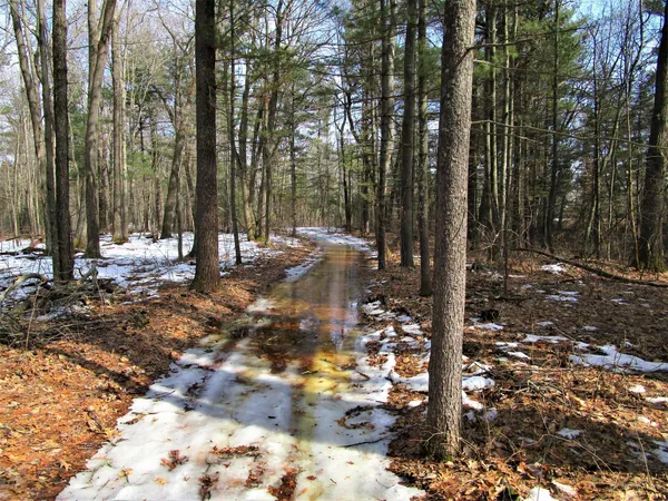 $69,000 | Xx 120th Street, Frederic, WI 54837