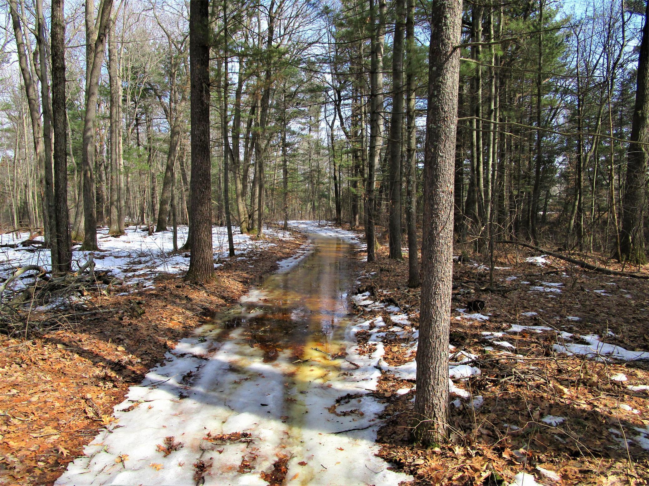 Xx 120th Street Frederic, WI 54837 - Photo 2 of 6