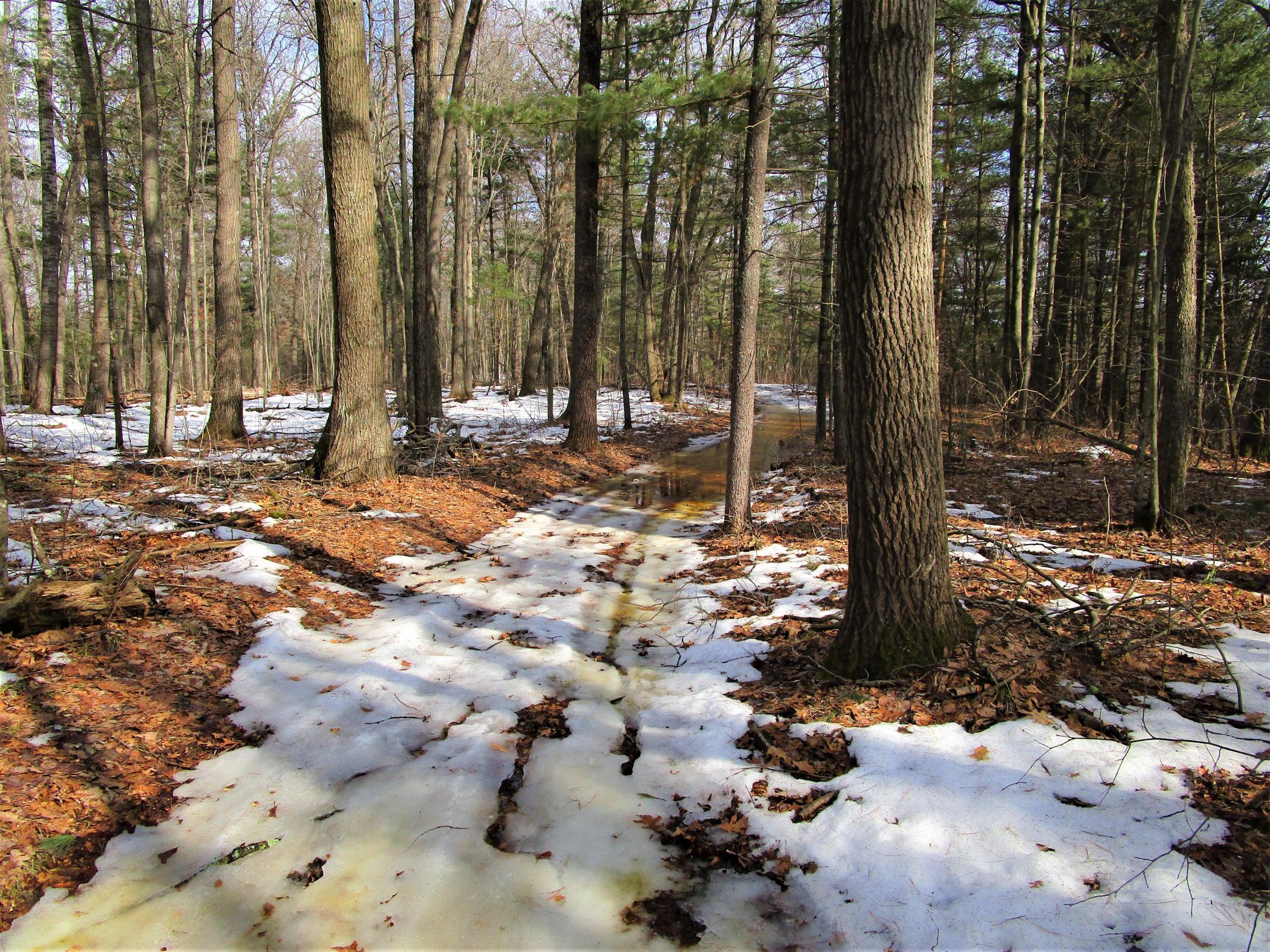 Xx 120th Street Frederic, WI 54837 - Photo 3 of 6