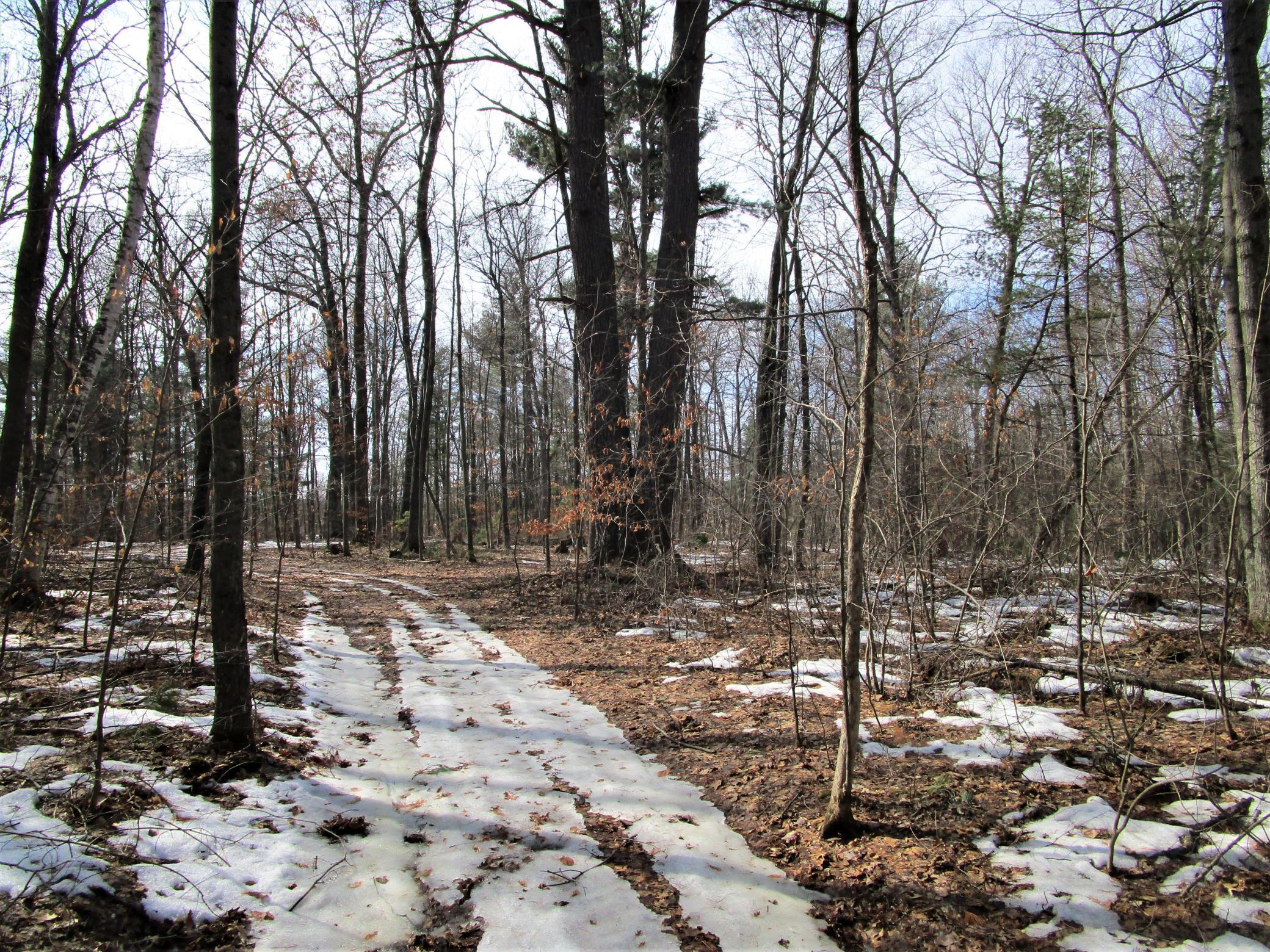 Xx 120th Street Frederic, WI 54837 - Photo 4 of 6