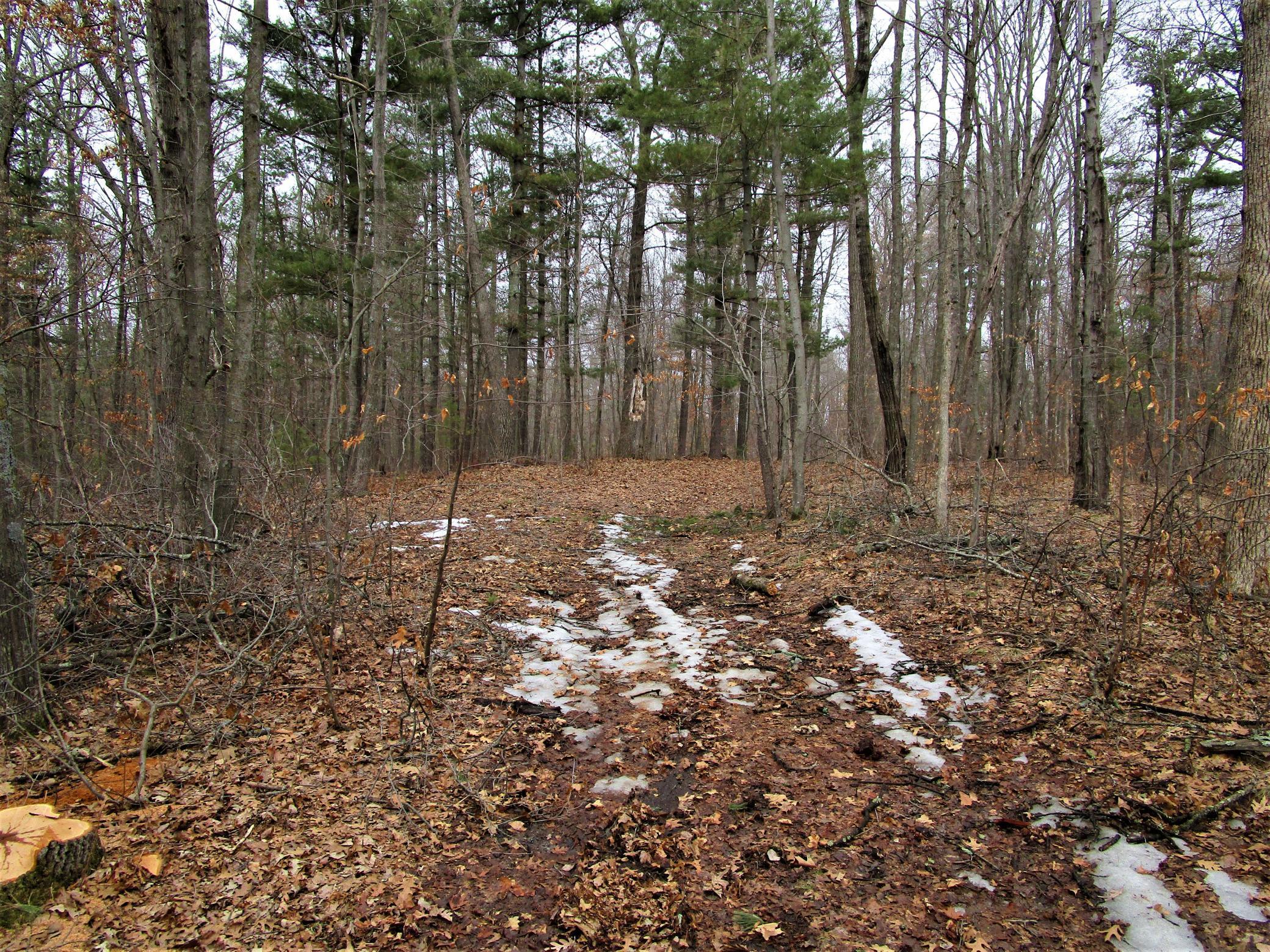 Xx 120th Street Frederic, WI 54837 - Photo 5 of 6