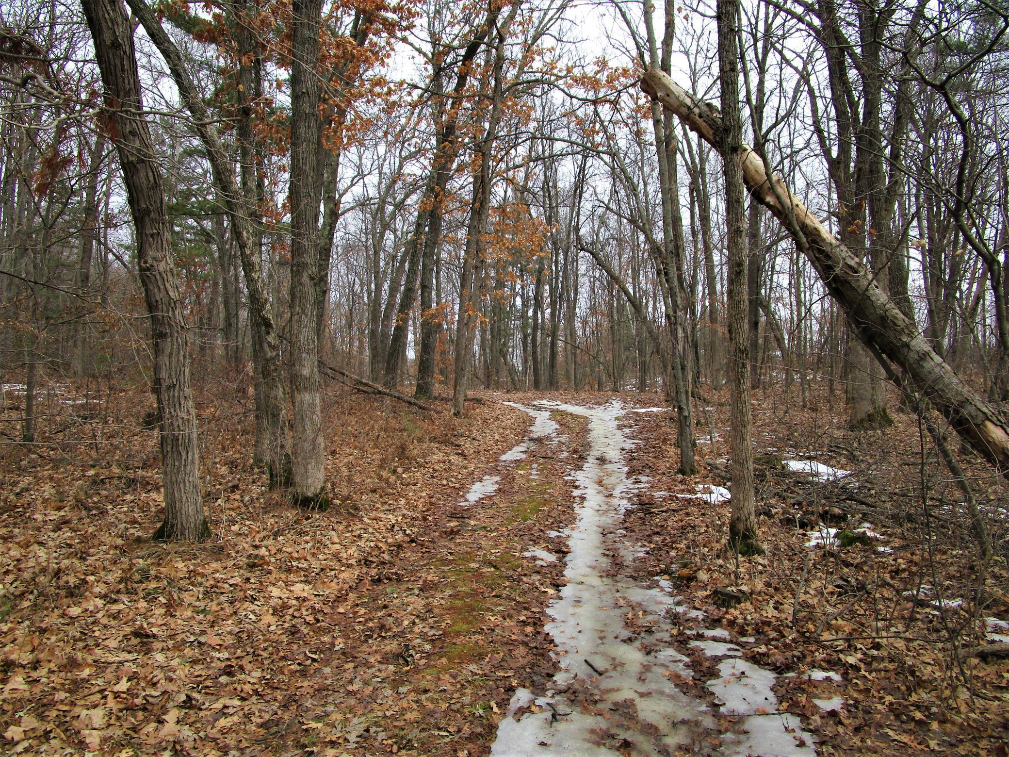 Xx 120th Street Frederic, WI 54837 - Photo 6 of 6