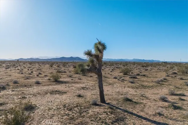 a view of a dry yard with wooden fence