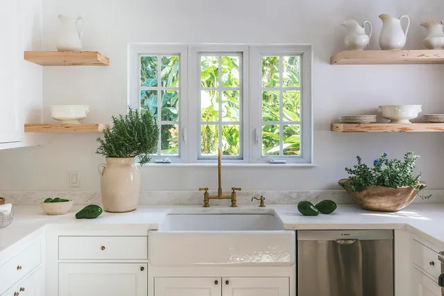 a kitchen with a sink and potted plant