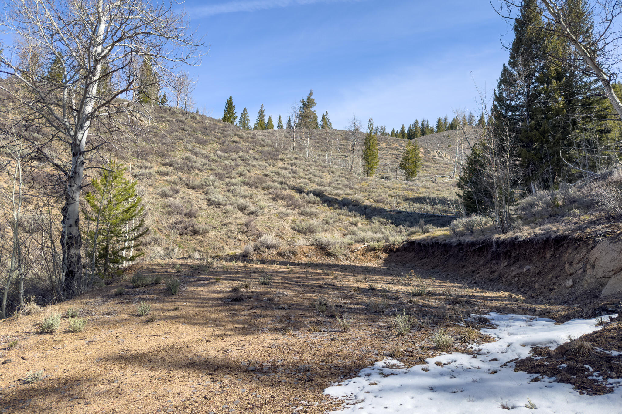 Tbd Fisher Creek Road Stanley, ID 83278 - Photo 30 of 37 Fisher Creek Rd 19 Acre Parcel - 9