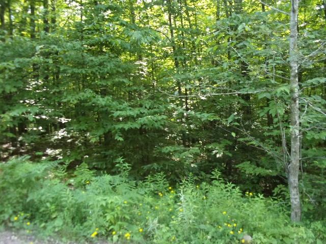 On Red Rock Road Athelstane, WI 54104 - Photo 7 of 7 Gallery Image 7