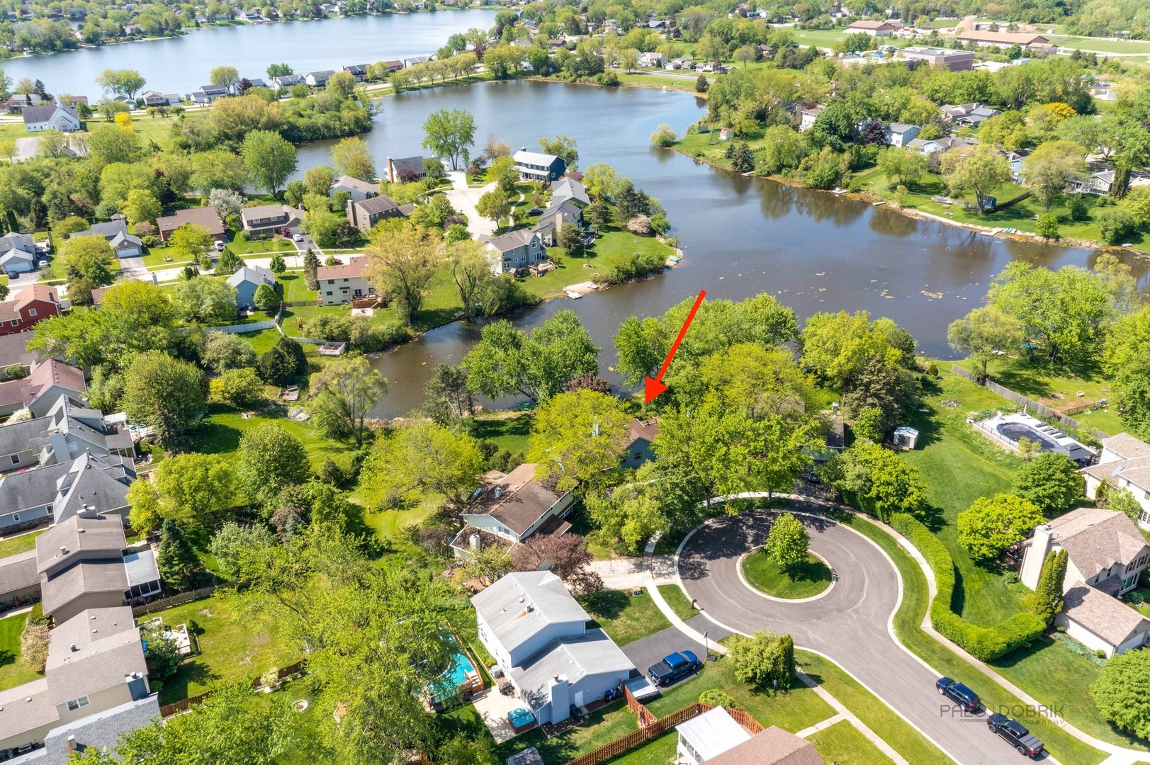 2351 Federal Circle Lindenhurst, IL 60046 - Photo 4 of 26 a view of a flower