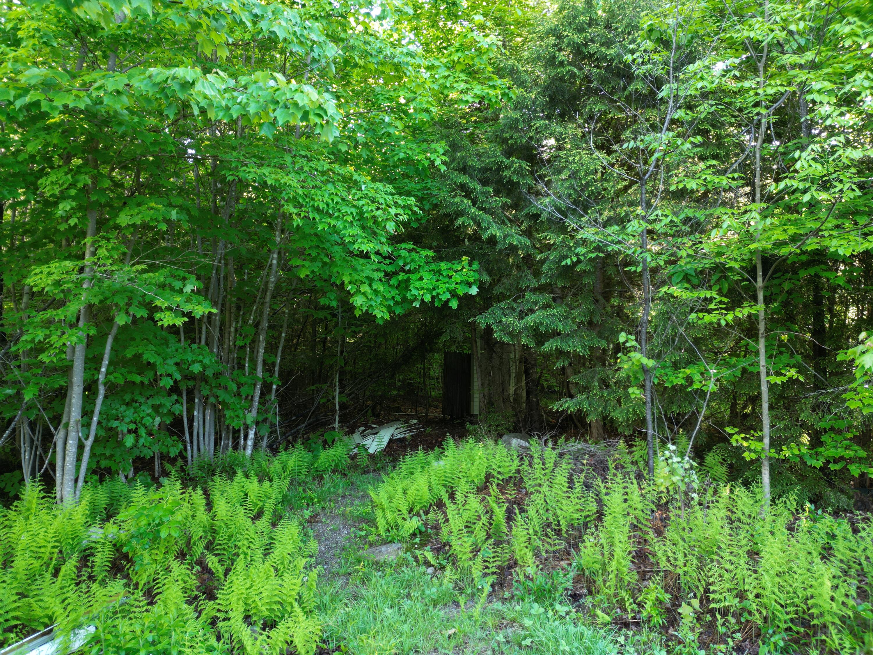 365 Madagascal Pond Road Burlington, ME 04417 - Photo 12 of 28 DJI_0246