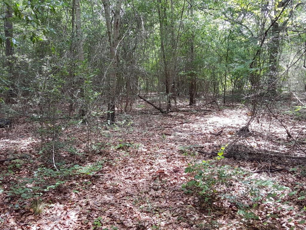 299 Wheat Road Aiken, SC 29801 - Photo 48 of 48