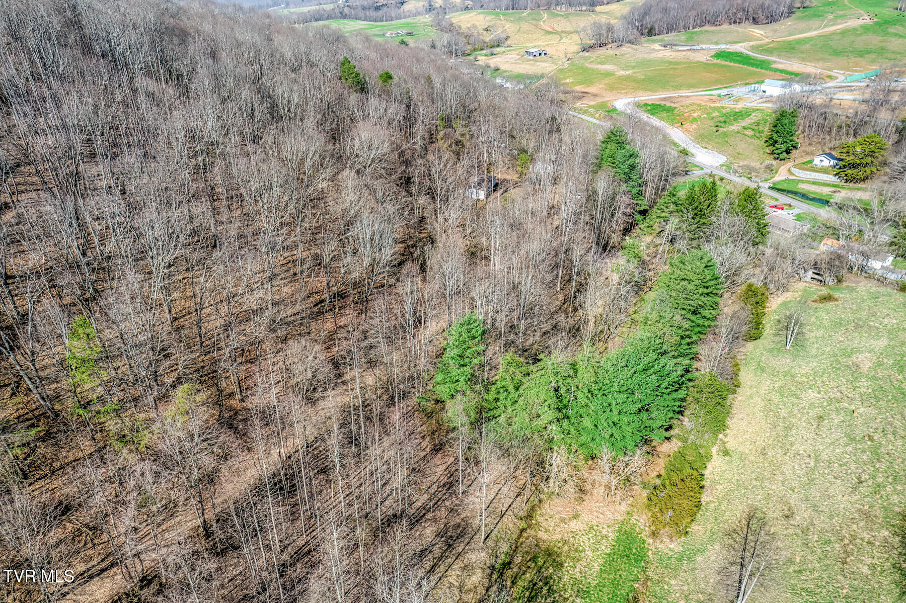 1424 Reedy Creek Road Bristol, TN 37620 - Photo 21 of 64 1424 Reedy Creek Rd-22