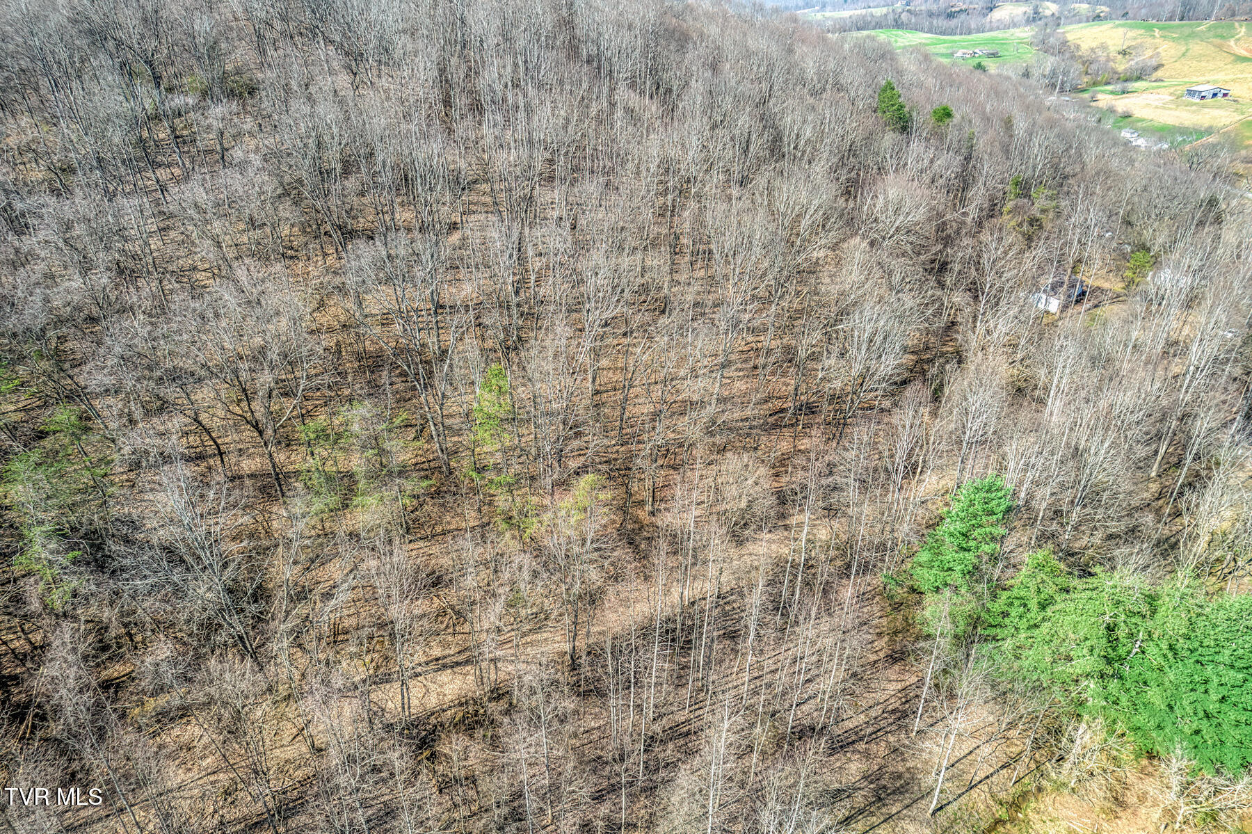 1424 Reedy Creek Road Bristol, TN 37620 - Photo 22 of 64 1424 Reedy Creek Rd-23