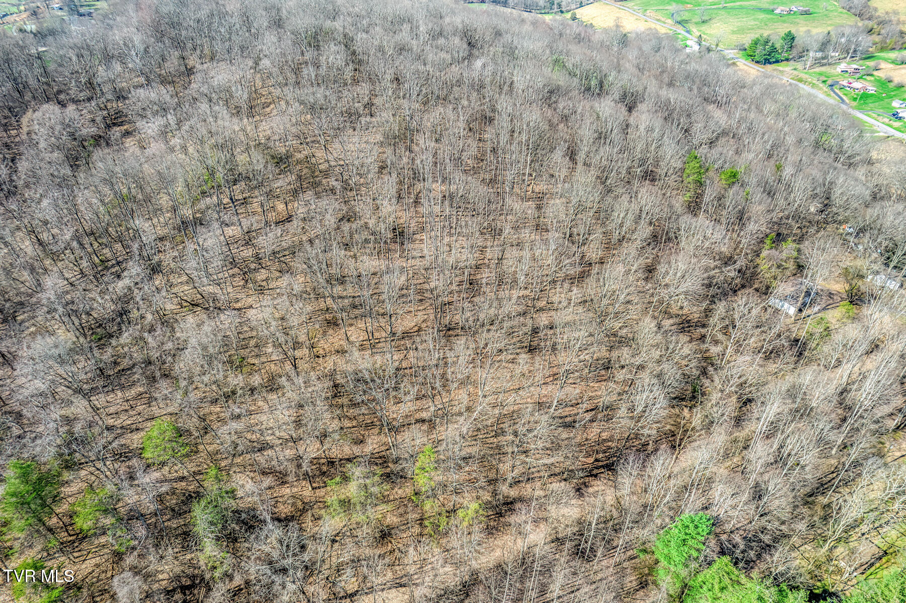 1424 Reedy Creek Road Bristol, TN 37620 - Photo 26 of 64 1424 Reedy Creek Rd-27