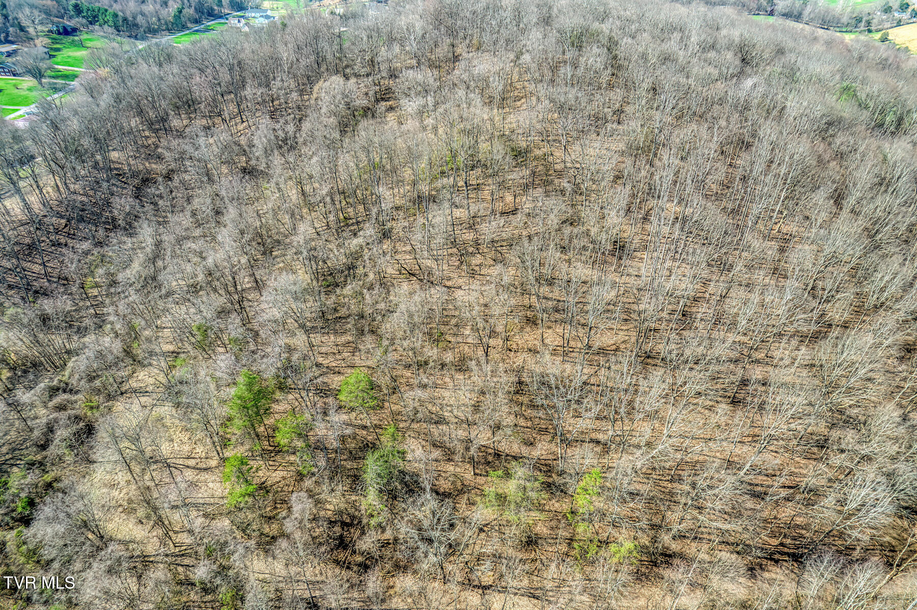 1424 Reedy Creek Road Bristol, TN 37620 - Photo 27 of 64 1424 Reedy Creek Rd-28