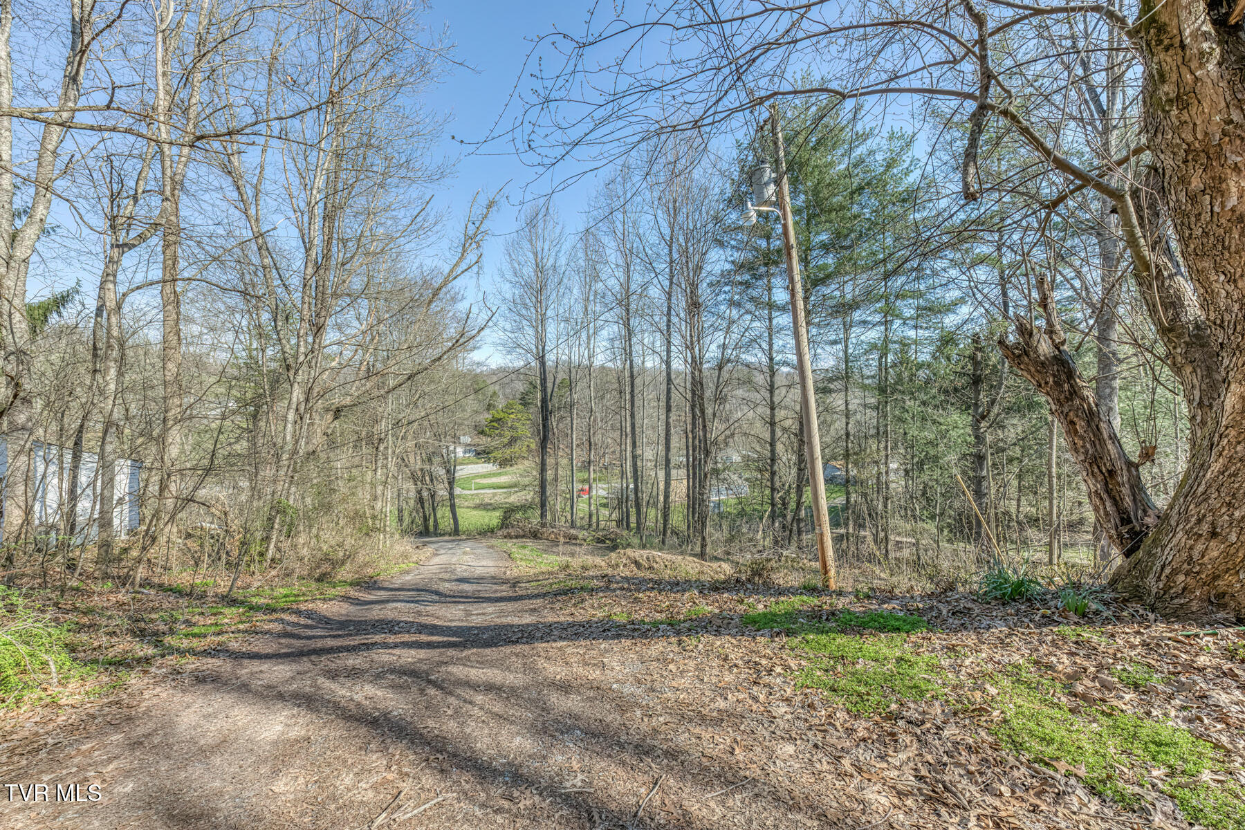 1424 Reedy Creek Road Bristol, TN 37620 - Photo 34 of 64 1424 Reedy Creek Rd-35