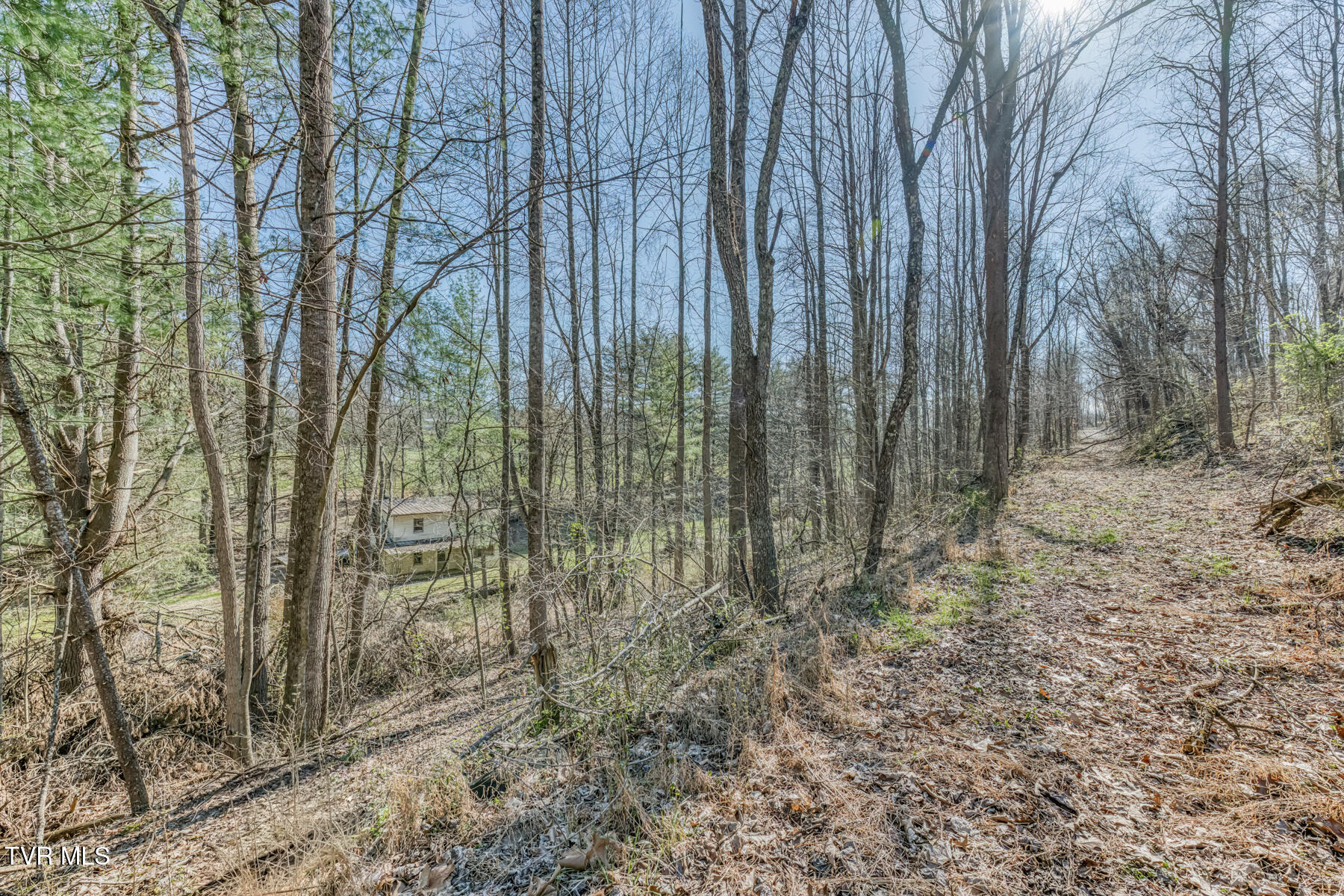 1424 Reedy Creek Road Bristol, TN 37620 - Photo 38 of 64 1424 Reedy Creek Rd-39