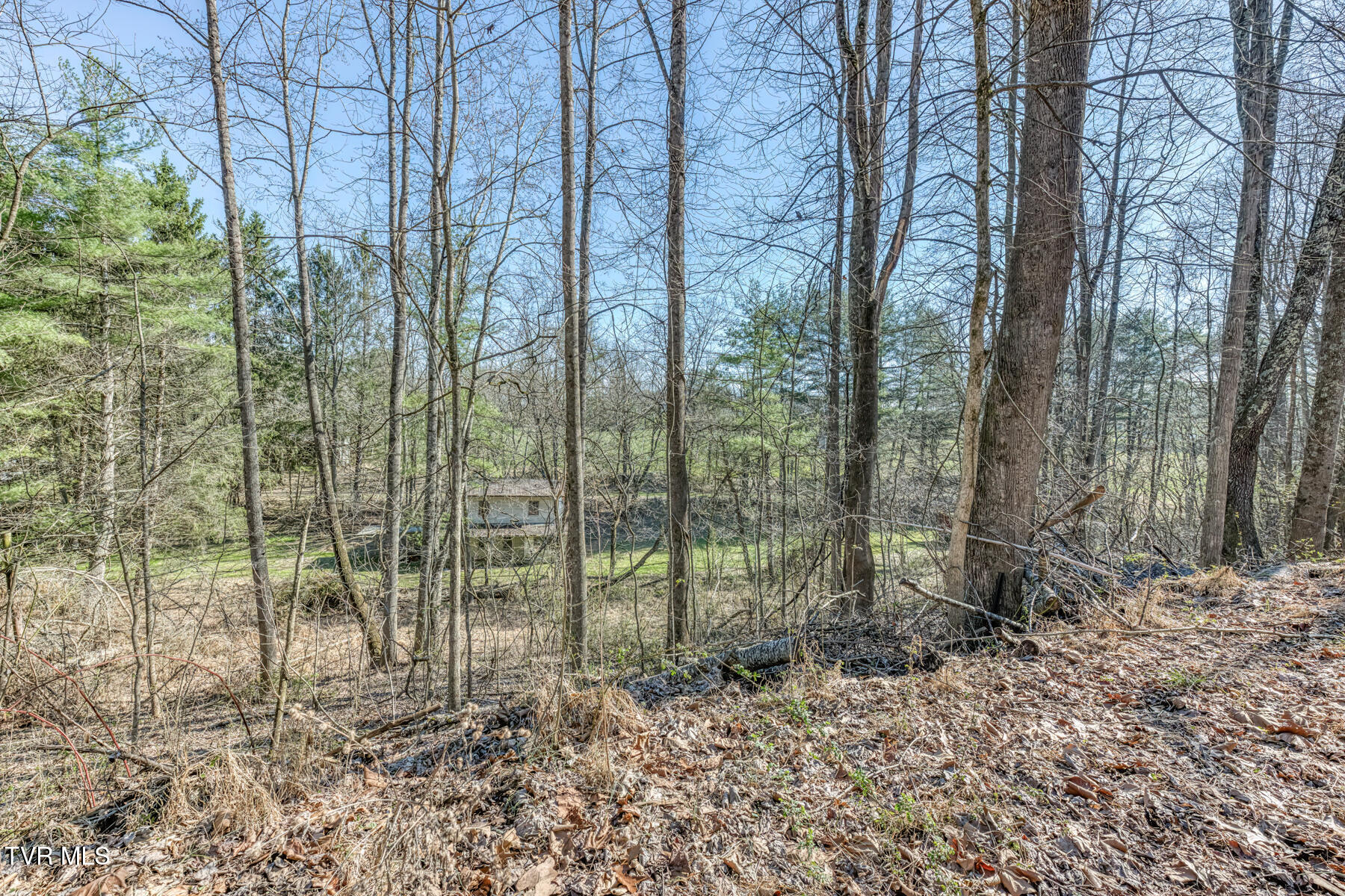 1424 Reedy Creek Road Bristol, TN 37620 - Photo 39 of 64 1424 Reedy Creek Rd-40