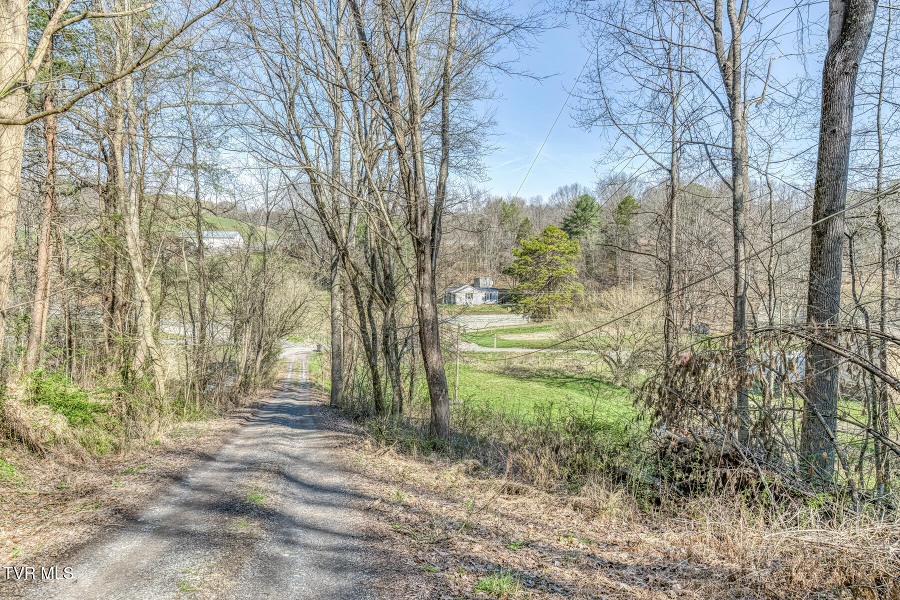 1424 Reedy Creek Road Bristol, TN 37620 - Photo 41 of 64 1424 Reedy Creek Rd-42