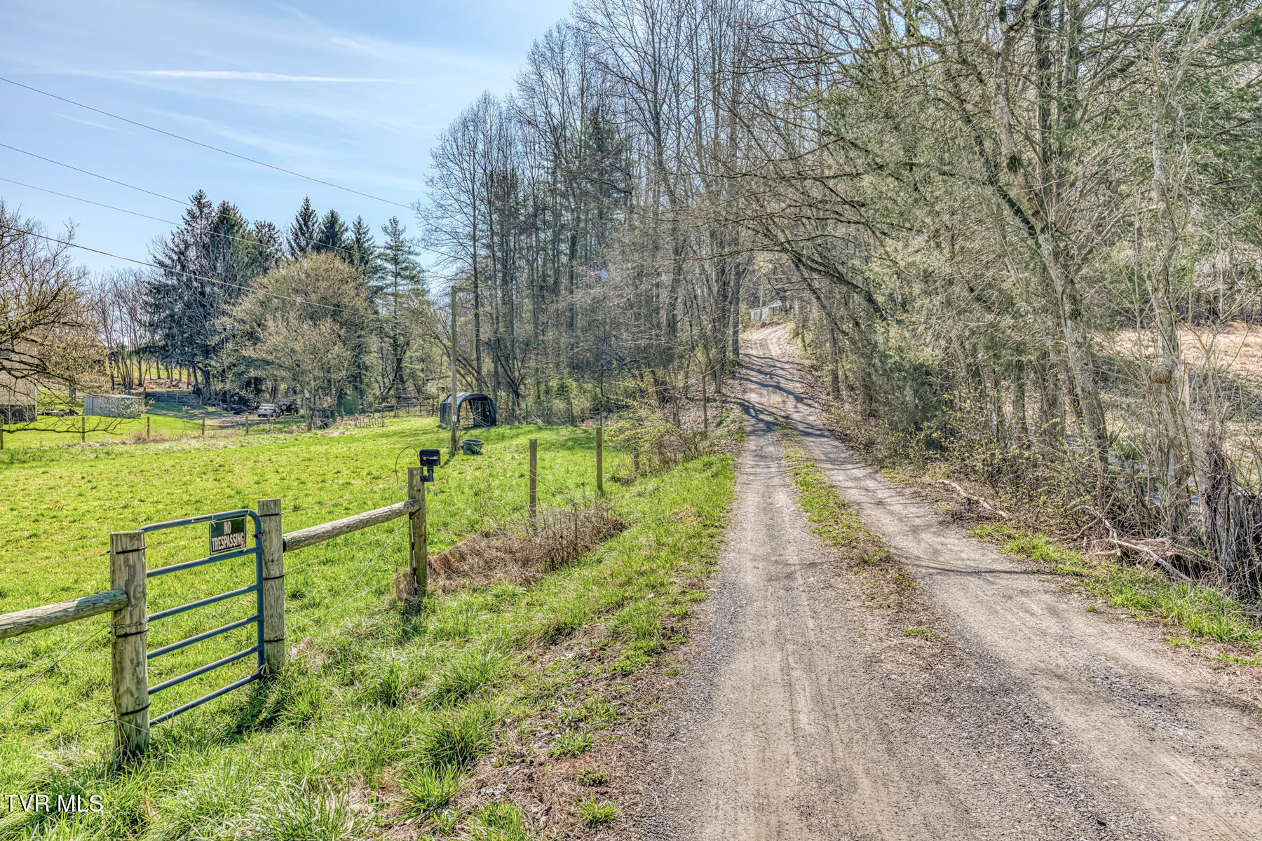 1424 Reedy Creek Road Bristol, TN 37620 - Photo 42 of 64 1424 Reedy Creek Rd-43