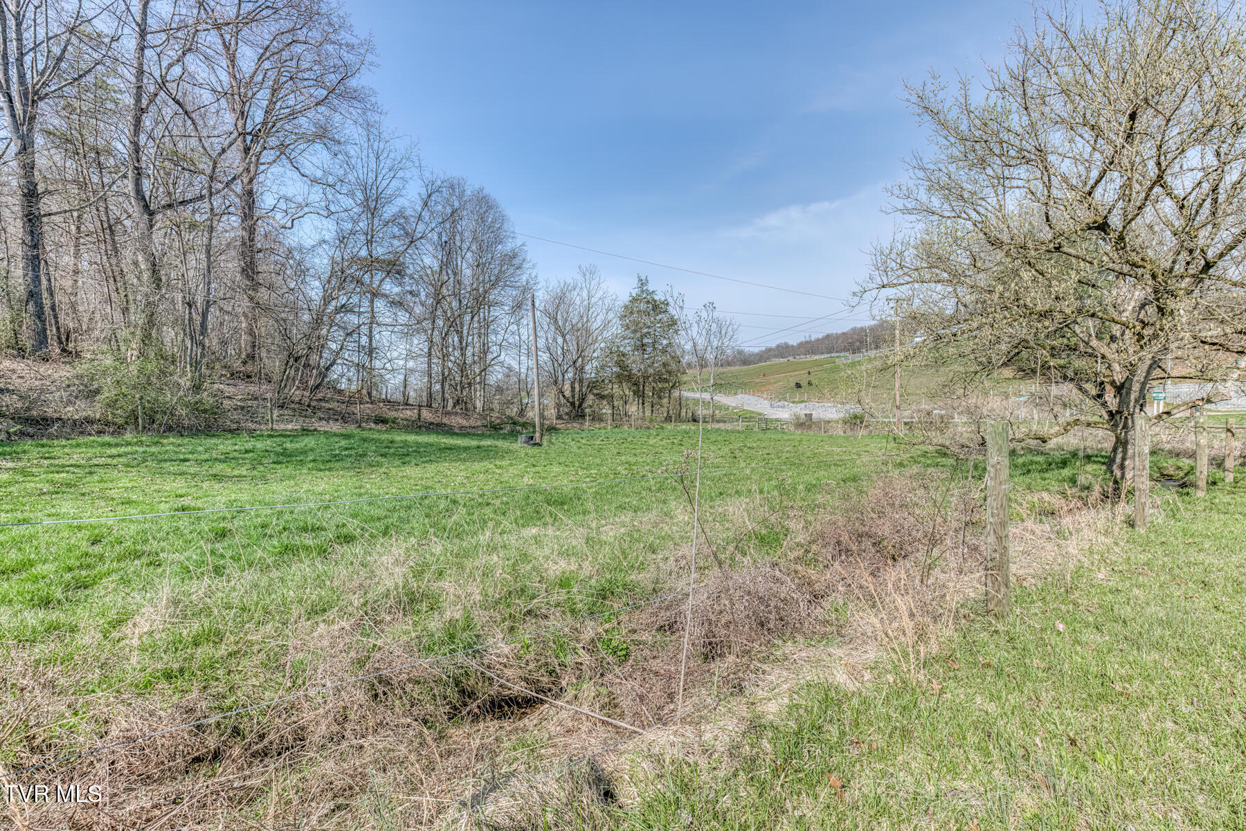 1424 Reedy Creek Road Bristol, TN 37620 - Photo 44 of 64 1424 Reedy Creek Rd-45
